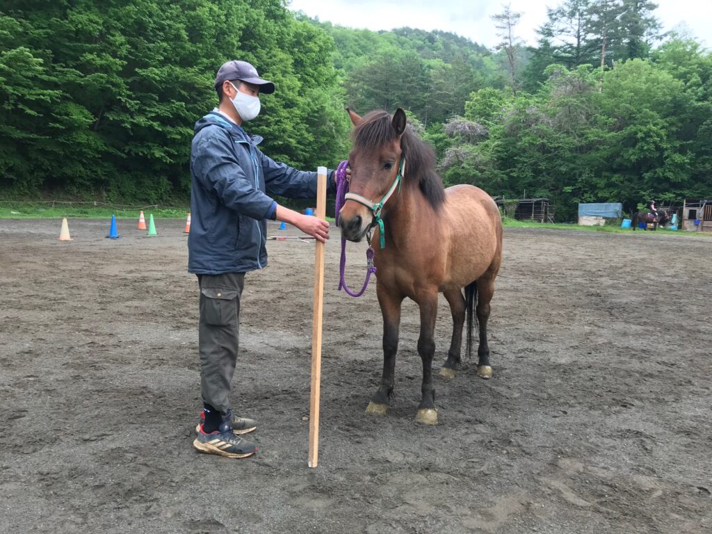 美崎（3歳牝）
